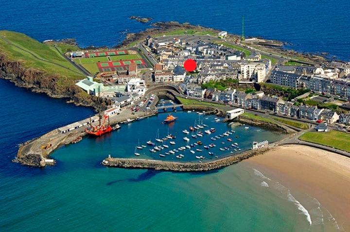 1 Princess Yellow - By The Sea Portrush